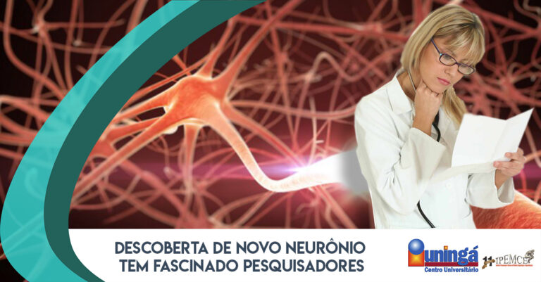 DESCOBERTA DE NOVO NEURONIO TEM FASCINADO PESQUISADORES